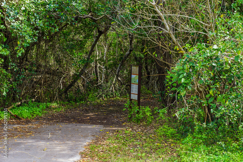 Snake Bight Trail in Everglades National Park in Florida, United States