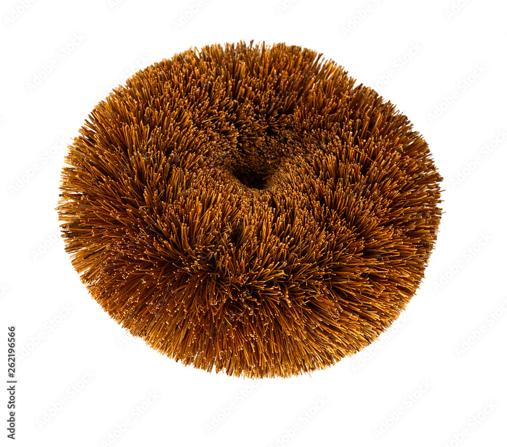 Brown Natural Coconut Fiber Brush Brown Natural Coconut Fiber Brush
