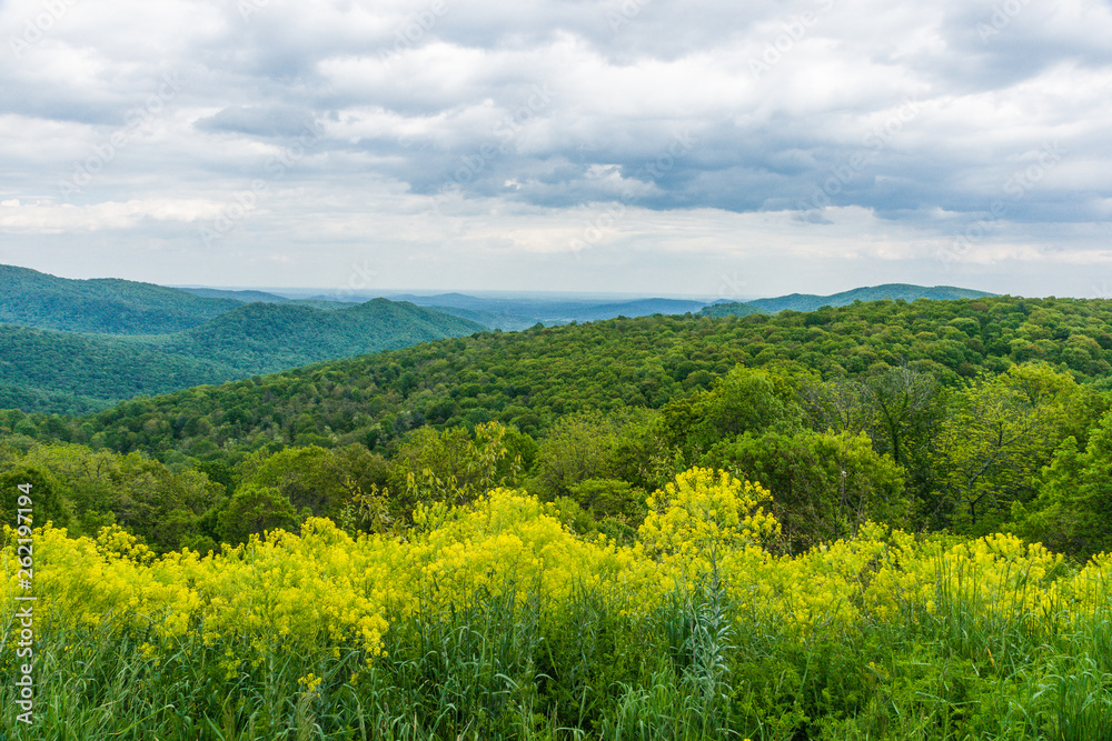 Thornton Hollow Overlook in Shenandoah National Park in Virginia, United States