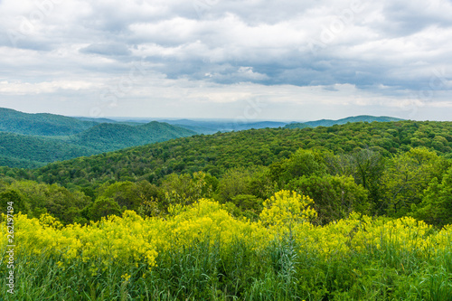 Thornton Hollow Overlook in Shenandoah National Park in Virginia  United States
