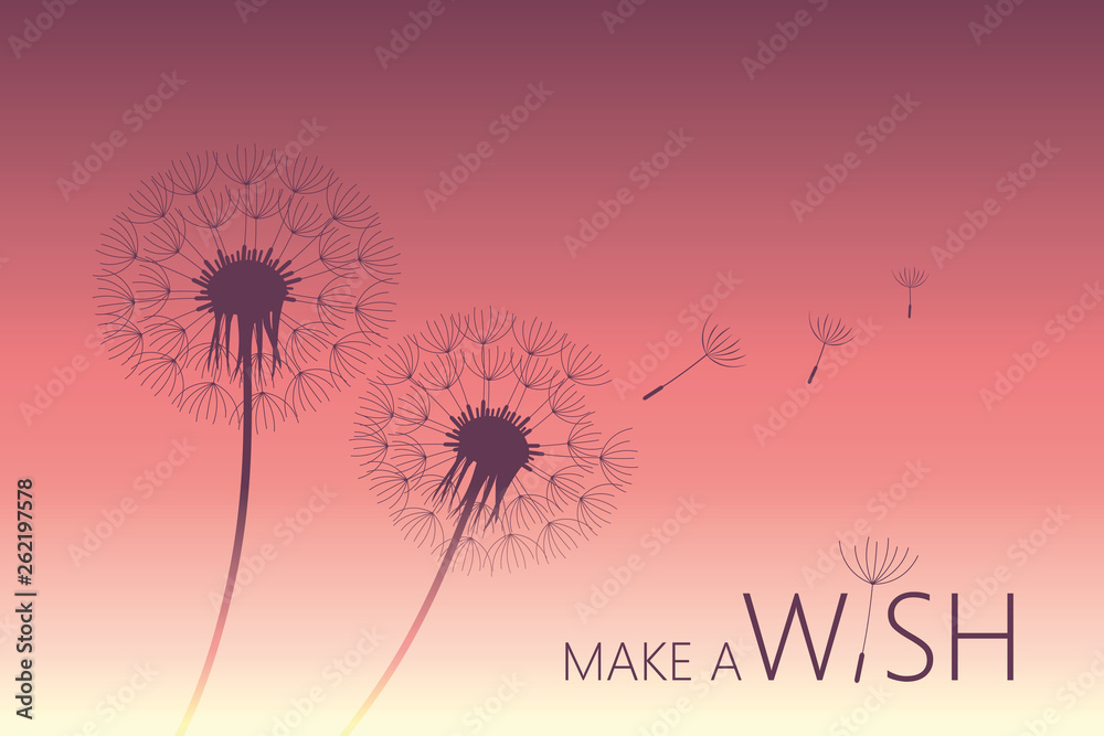 dandelion silhouette on purple background with flying seeds and make a wish text vector illustration EPS10