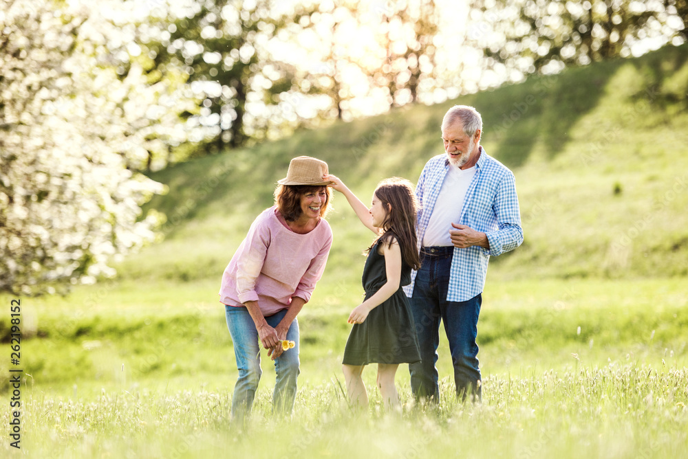 Senior couple with granddaughter outside in spring nature, having fun. Senior couple with granddaughter outside in spring nature, having fun.