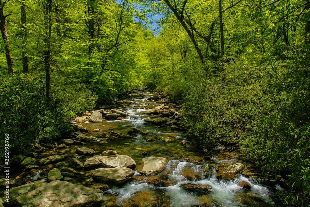 Walker Camp Prong in Great Smoky Mountains National Park in Tennessee, United States Walker Camp Prong in Great Smoky Mountains National Park in Tennessee, United States
