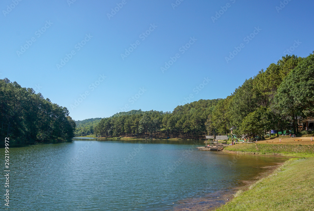 View of pine forest and lake in pang oung ,maehongson, Thailand View of pine forest and lake in pang oung ,maehongson, Thailand