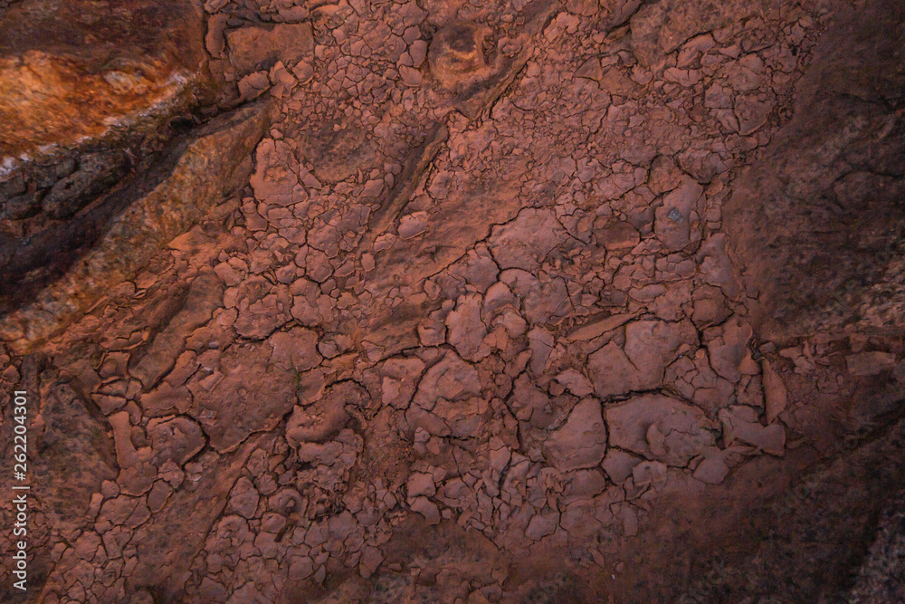 Obraz premium drought earth texture background