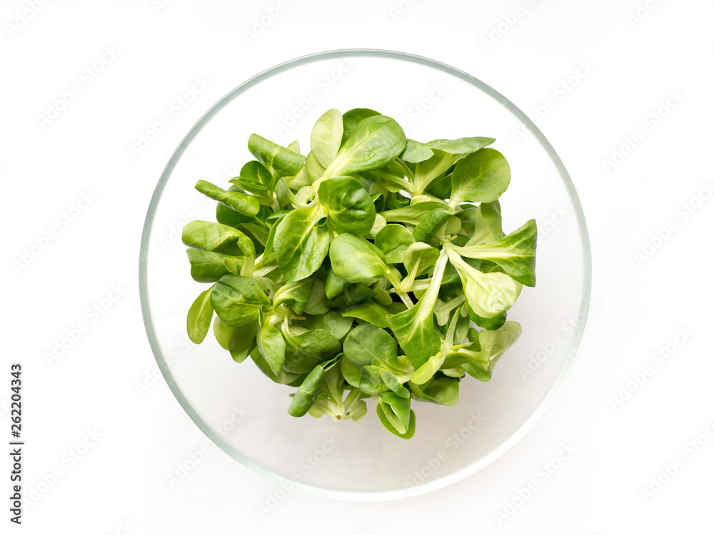Fresh green Corn salad leaves or lamb's lettuce in bowl. Top view, lamb's lettuce isolated on white background Fresh green Corn salad leaves or lamb's lettuce in bowl. Top view, lamb's lettuce isolated on white background