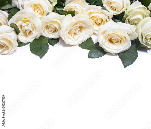 Fototapeta Naklejka Na Ścianę i Meble -  White roses on white background
