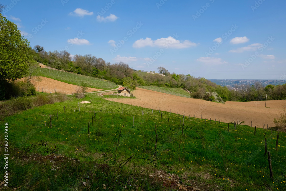 lyonnais mont d'or paysages