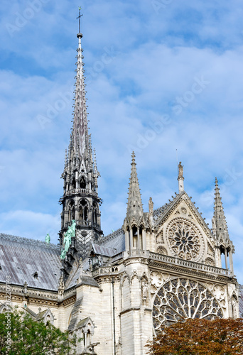 Notre dame cathedral arrow in Paris city