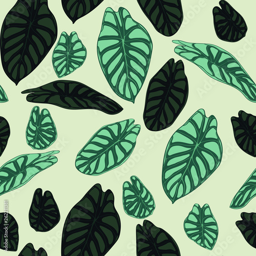Seamless Tropical Pattern. Trendy Background with Rain Forest Plants. Vector Leaf of Alocasia. Green Araceae. Handwritten Jungle Foliage in Watercolor Style. Seamless Exotic Pattern for Tile  Fabric.