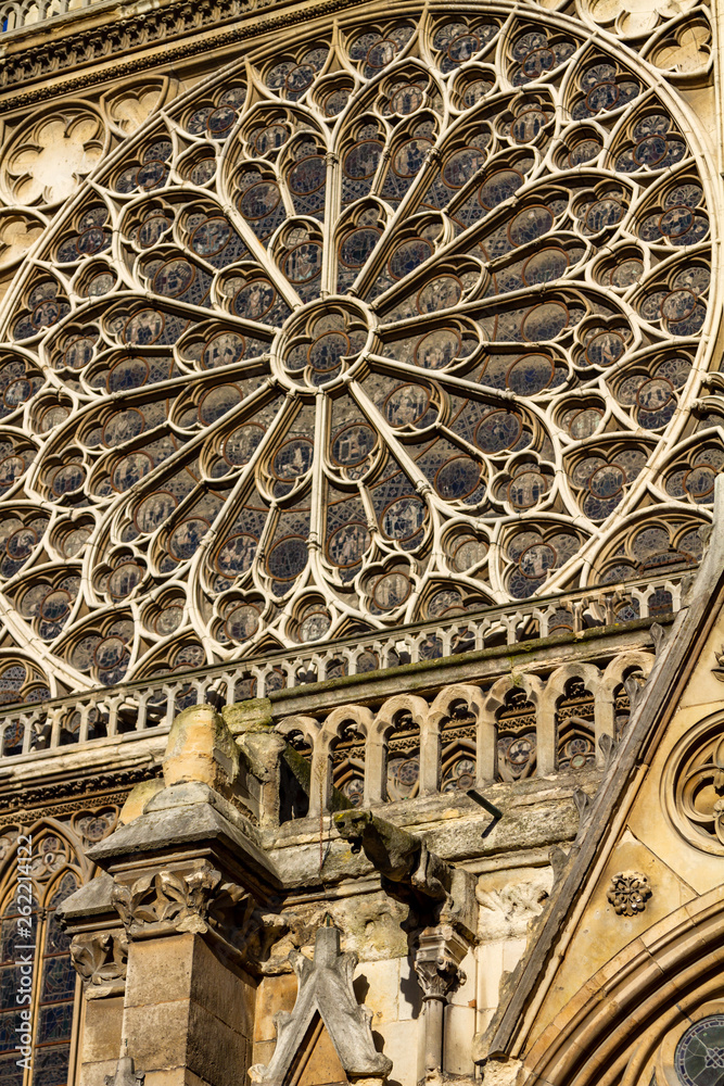 Fototapeta premium notre dame paris