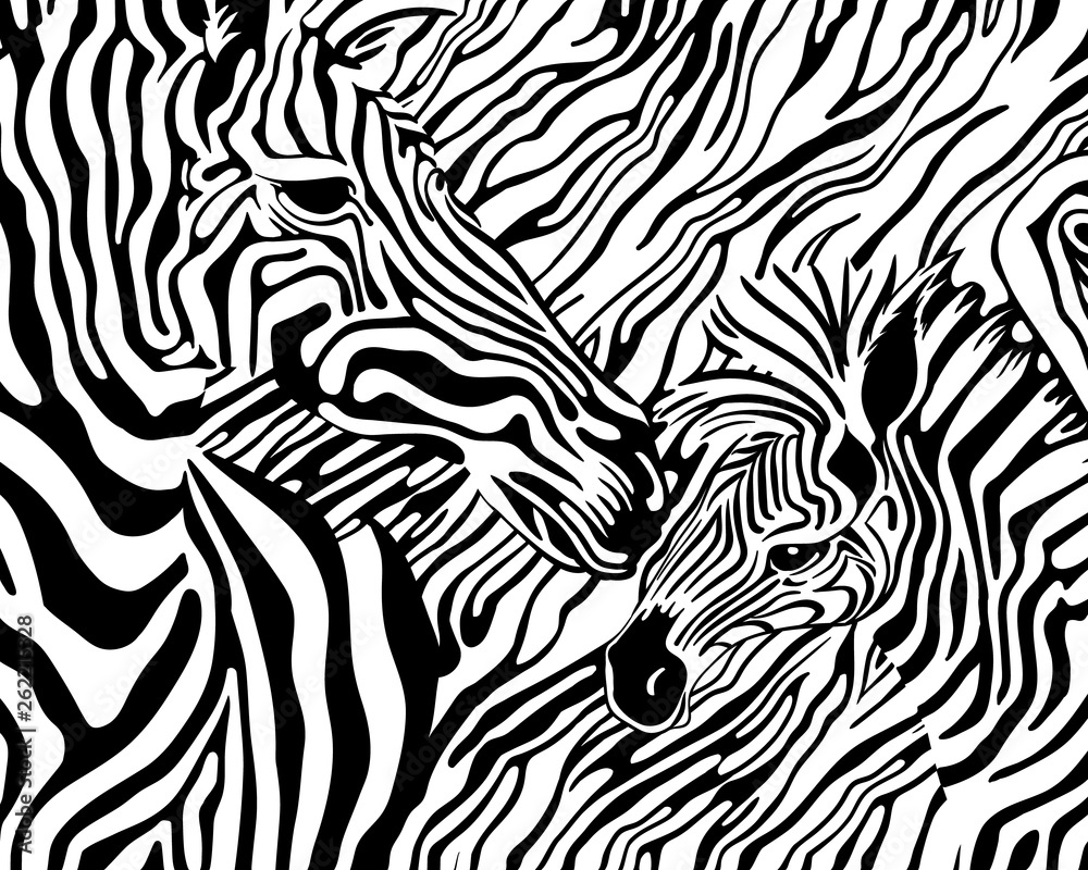 Two African Zebra stripes. Female Zebra and her foal. Vector illustration. 