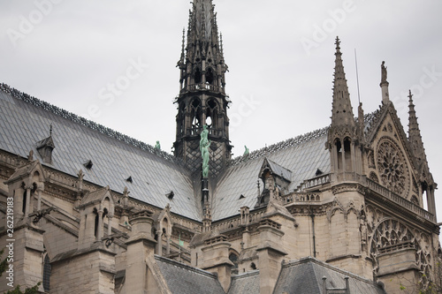 Roof of Cathedral Notre Dame, Paris
