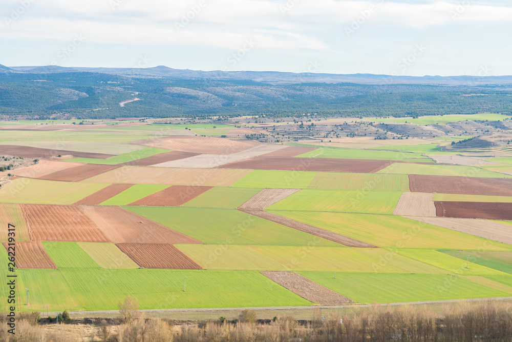 beautiful field landscape at Spain