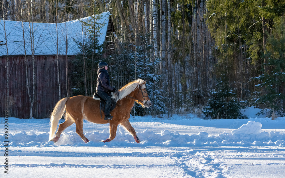 Woman horseback riding in winter Woman horseback riding in winter