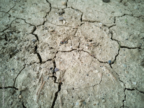 Dried soil texture