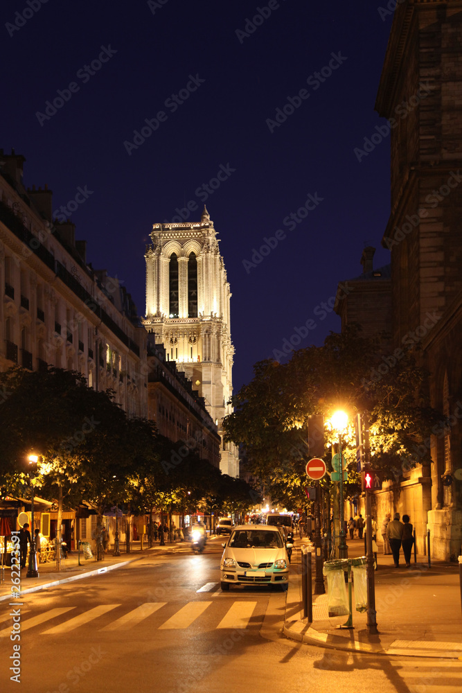 Famous Notre Dame at night in Paris, France.