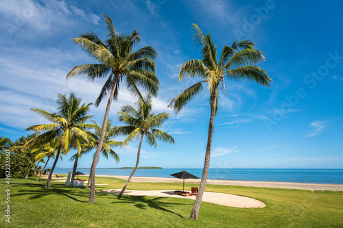 Palm trees along the Fijian coastline photo