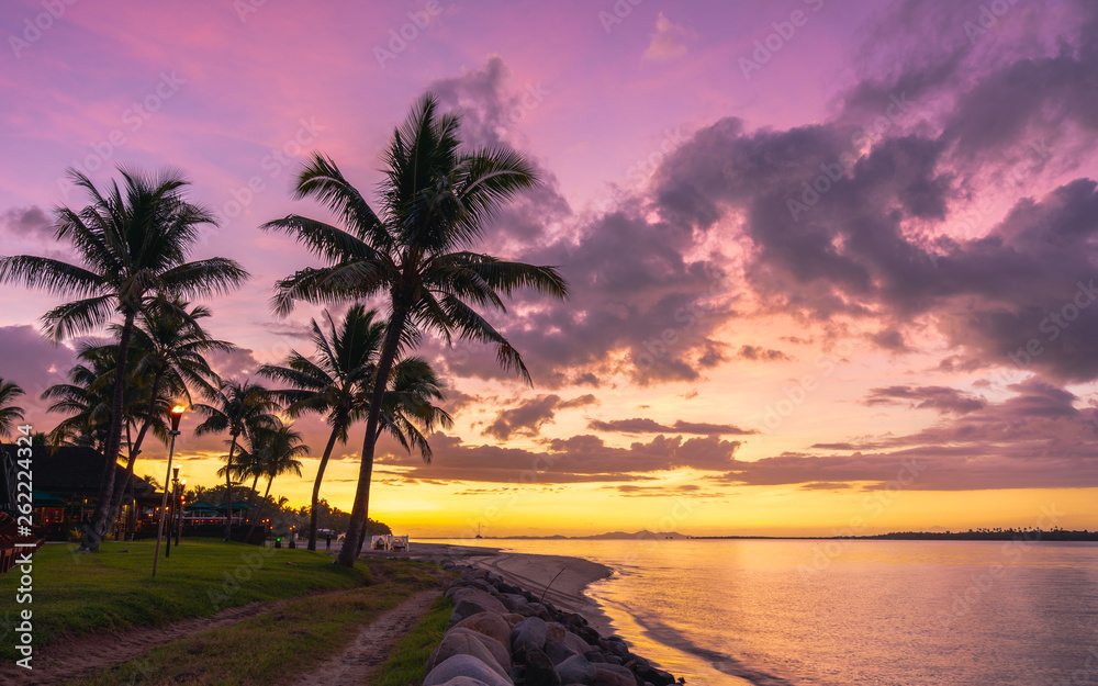 Palm tree silhouette against a beautiful sunset on the Fijian coast