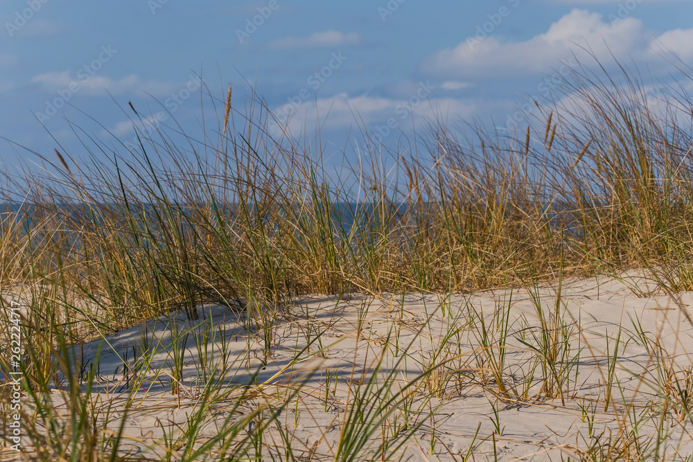 Sunny day baltic sea outdoor no people Sunny day baltic sea outdoor no people