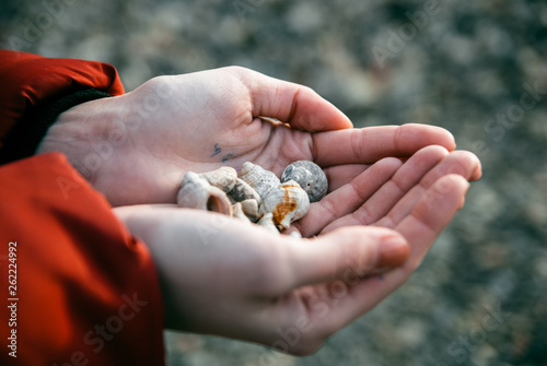 handful of sea shells
