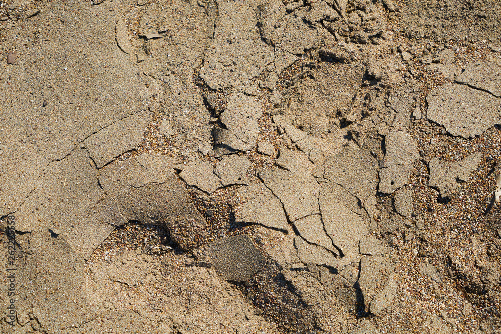 Dried soil texture Dried soil texture