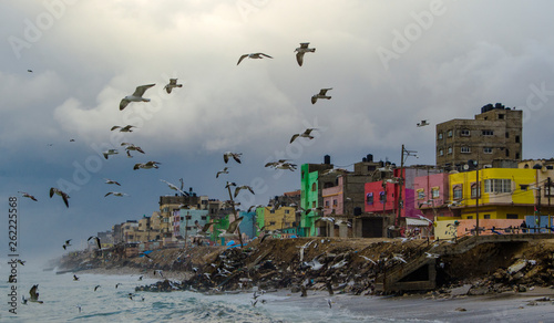 the gulls Fly around sea of color. photo