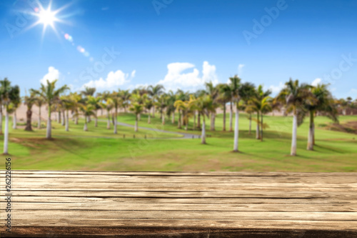 Desk of free space and summer background of palms with blue sky and sun. 