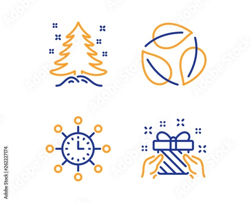 World time, Leaves and Christmas tree icons simple set. Gift sign. Measurement device, Nature leaf, Spruce. Present. Business set. Linear world time icon. Colorful design set. Vector