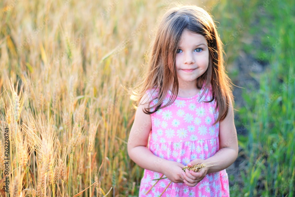 Beautiful little caucasian girl on a wheat field with ripe golden spike and sun backlit. Long haired cute preschooler girl in golden field at sunset. Happy little girl enjoying nature wheat field Beautiful little caucasian girl on a wheat field with ripe golden spike and sun backlit. Long haired cute preschooler girl in golden field at sunset. Happy little girl enjoying nature wheat field