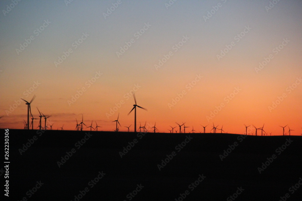 wind turbines at sunset