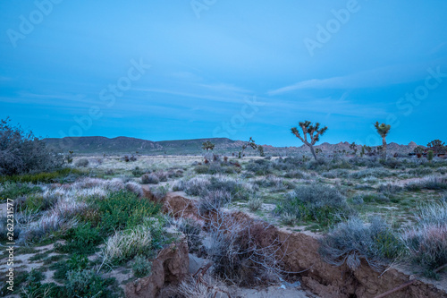 The desert of Nevada in the evening - travel photography © 4kclips