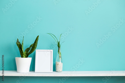 Modern room decoration with Picture frame mockup. White shelf against pastel turquoise wall with spider plant cuttings in water and snake plant. © MexChriss