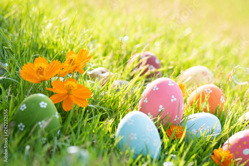 Happy easter   Closeup Colorful Easter eggs in nest on green grass field during sunset background.