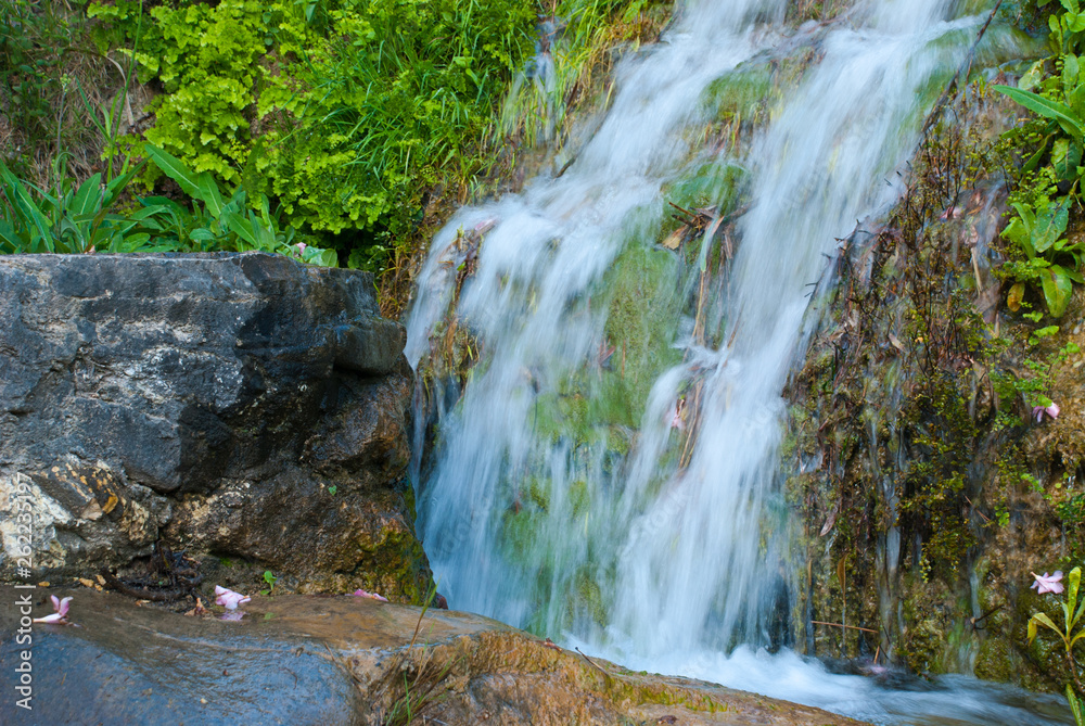 Nature background with small waterfall and green plants, stones.