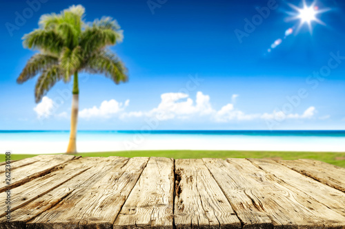 Fototapeta Naklejka Na Ścianę i Meble -  desk of free space and summer palms 