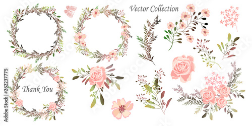 Vector illustration. Wreaths.  Botanical collection of wild and garden plants. Set: leaves, flowers, branches, herbs and other natural elements.