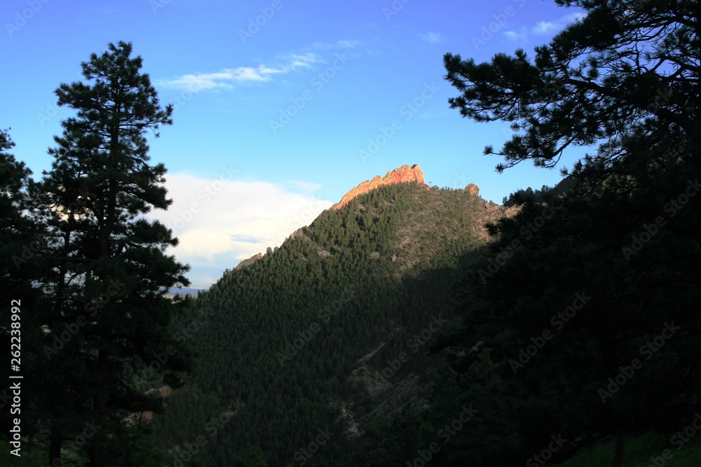 rocky mountain in denver. View from one mountain to the other at sunset. The whole mountain is green and on top is red. In the foreground of a pine. National Nature Park in the USA. rocky mountain in denver. View from one mountain to the other at sunset. The whole mountain is green and on top is red. In the foreground of a pine. National Nature Park in the USA.