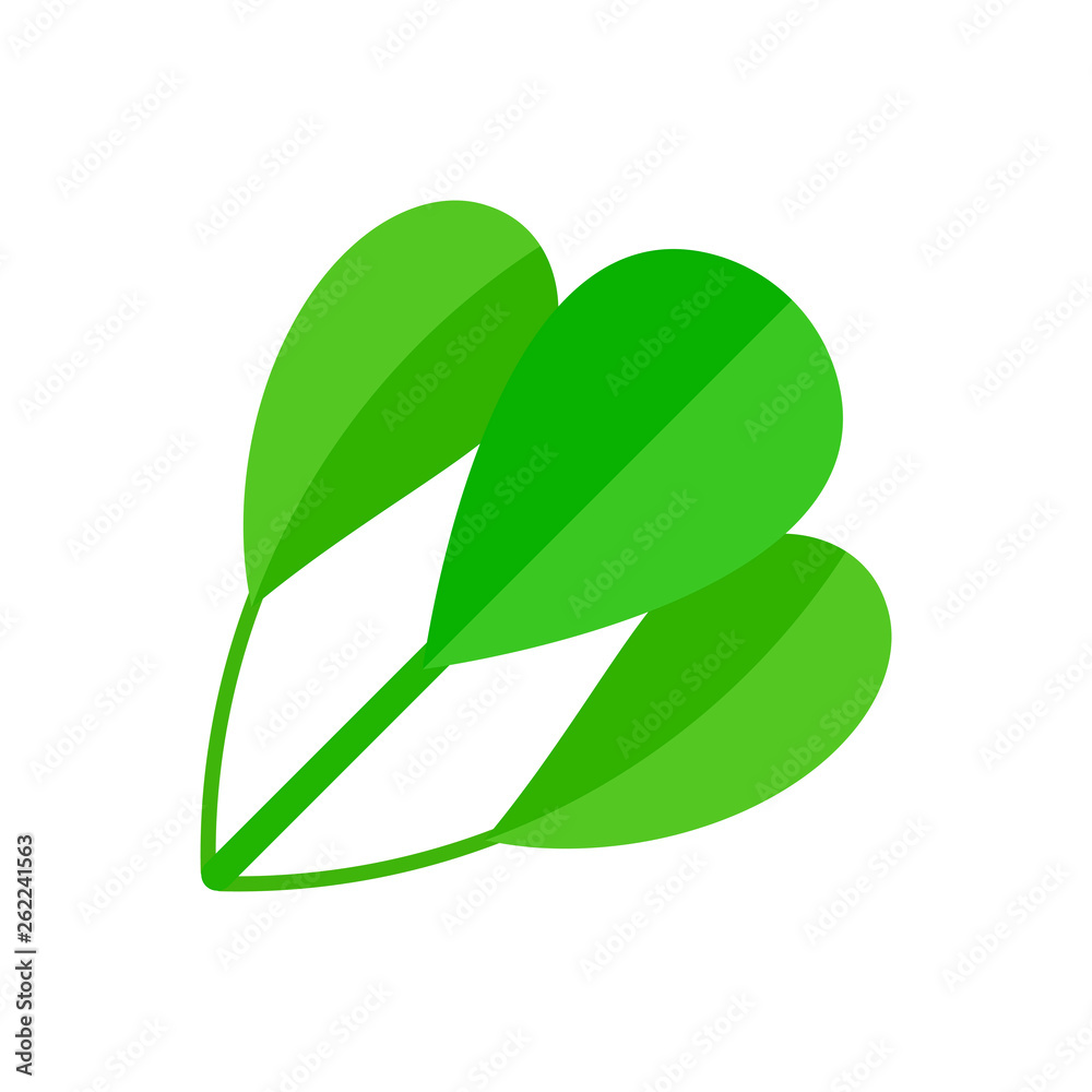 Spinach Illustration Spinach Illustration