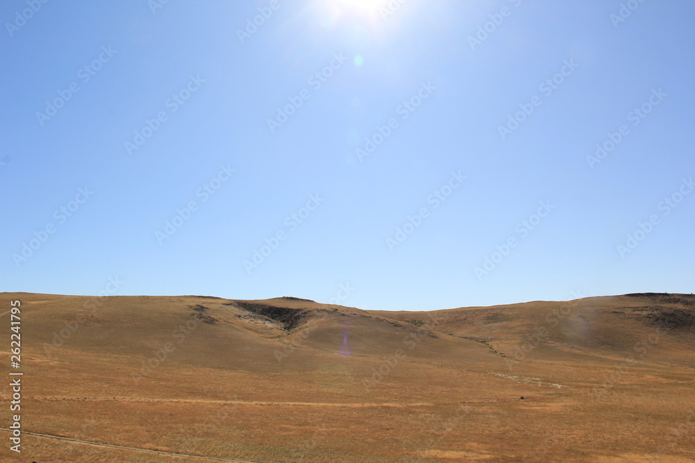 Fototapeta premium Autumn grassland