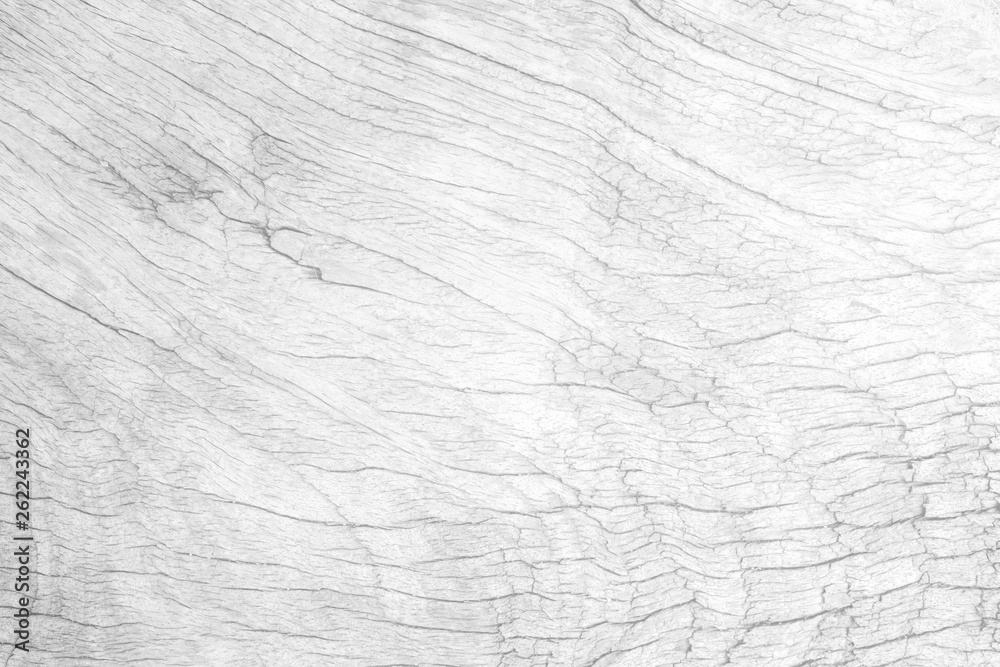 Obraz premium White Wood Texture Background.