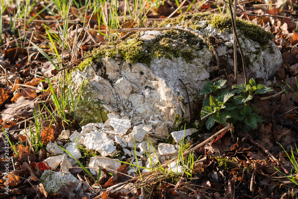 Crumbling hardened bag of plaster thrown away in nature. Crumbling hardened bag of plaster thrown away in nature.