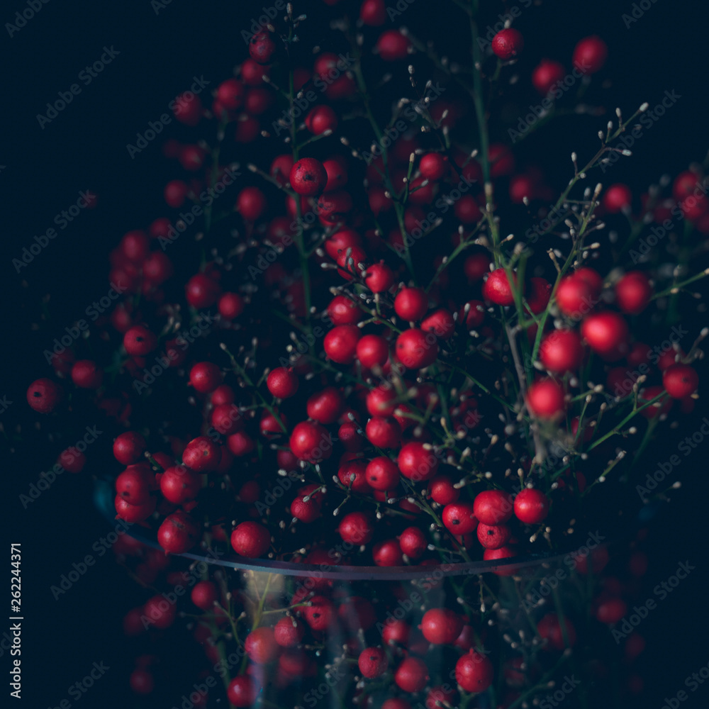 Nandina_005 Nandina_005