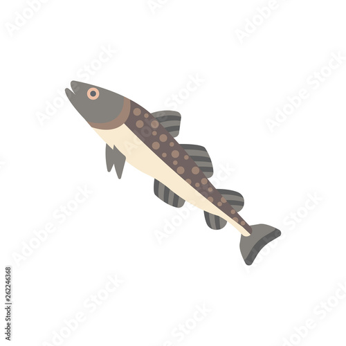 Cod Fish Illustration