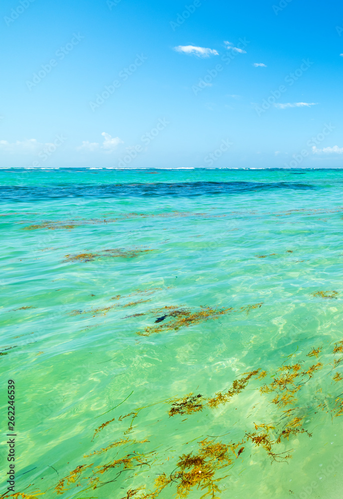 Obraz premium Turquoise water in Raisins Clairs beach
