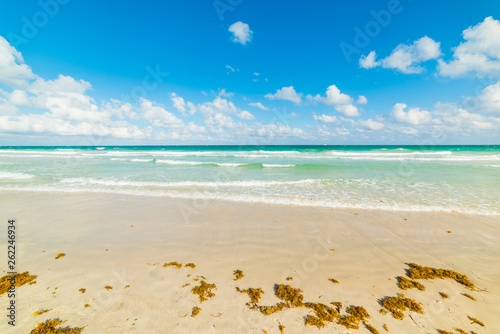 Fototapeta Naklejka Na Ścianę i Meble -  Turquoise water and white sand in world famous South Beach