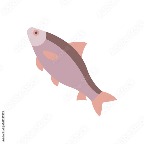 Caspian Roach Illustration