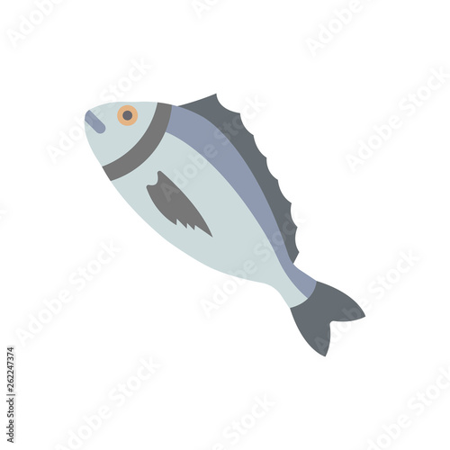 Dorado Illustration