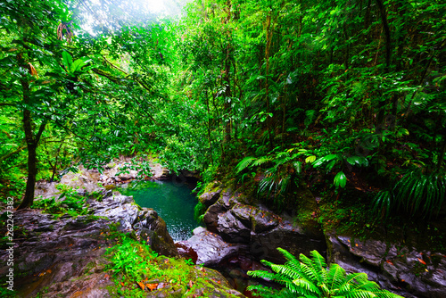 Green plants surrounding Bassin Paradise pond in Guadeloupe