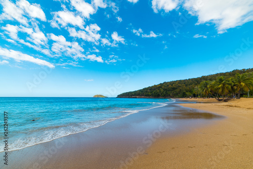 Fototapeta Naklejka Na Ścianę i Meble -  Golden sand and blue sea in La Perle beach in Guadeloupe